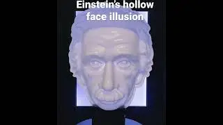 Einstein’s hollow face illusion