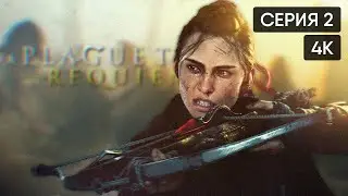 A Plague Tale: Requiem прохождение на русском и обзор #2 [4K]