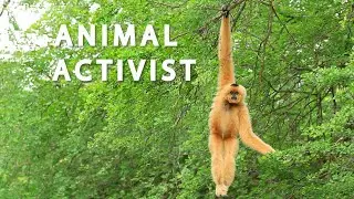 Animal Activist