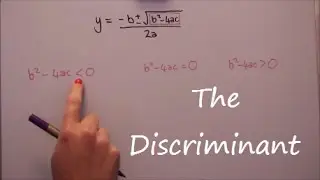 The Discriminant