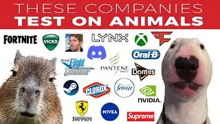 Companies That Test On Animals 😢