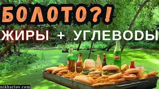 Жиры и Углеводы вызовут сахарный диабет 2 типа и лишний вес? Когда обмен веществ напоминает болото.