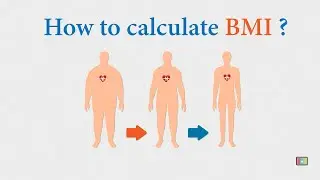 BMI Calculator