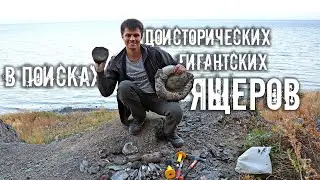 Кости доисторических рептилий Мезозойской эры| Окаменелости юрского и мелового периодов