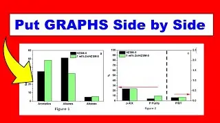 How to Put Graphs Side - by - Side In Word (Microsoft)