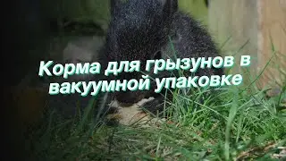 Корма для грызунов в вакуумной упаковке