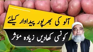 Fertilizer plan of Potato | Crop Reformer