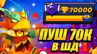 🎃ПУШУ 70К КУБКОВ В ШД🏆‼️-СТРИМ ПО БРАВЛ СТАРС