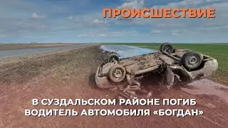 В Суздальском районе погиб водитель автомобиля «Богдан»