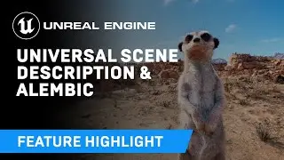 Improved USD and Alembic support | Feature Highlight | Unreal Engine 4.27