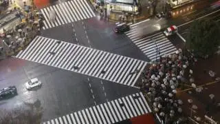 Timelapse of crowds of people crossing roads in Shibuya district, Tokyo, Japan.