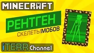 Minecraft. Новый Item Рентгеновский Аппарат. Скелеты Мобов. #1