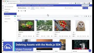 Deleting Assets with Cloudinarys Node.js SDK - Cloudinary Tutorial