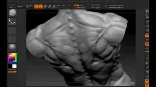 Torso Modeling Zbrush4