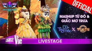 Mashup Từ Đó và Giấc Mơ Trưa - Cú Tây Bắc ft.Tí Nâu | The Masked Singer Vietnam 2023 [LiveStage]