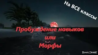 Гайд по 
