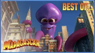 Best of Dave! | Penguins of Madagascar | Mini Moments