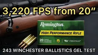 243 Winchester 80gr PSP High Performance Rifle Ballistics Gel Ammo Test