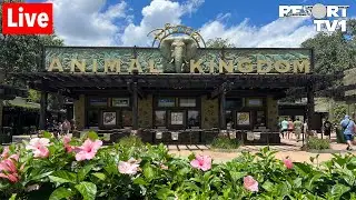 🔴Live: Magical Monday at Disney's Animal Kingdom -  Walt Disney World Live Stream- 9-9-24