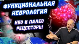 Фантомные боли | Функциональная неврология | Про рецепторы | Нео и Палео рецепторы