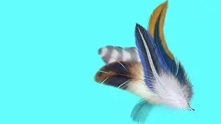 CAT GAMES - ENTERTAINMENT VIDEOS FOR CATS TO WATCH | Cat Fishing Pole Feather Cat Teaser Toy