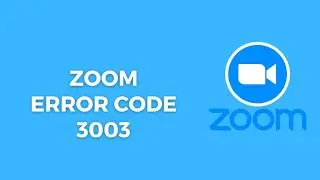 How To Resolve Zoom Error Code 3003?