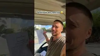 Зелёный инспектор