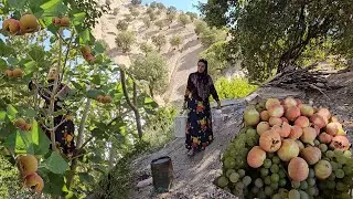 summer in the village.On a hot summer day Narges goes to her fathers garden to pick grapes and figs