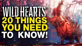 20 Things to know BEFORE starting Wild Hearts