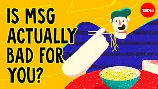 What is MSG, and is it actually bad for you? - Sarah E. Tracy