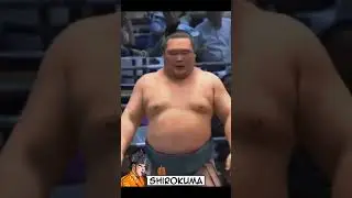 Сиракума против Асакорю Нагоя Басё 2024 #japan #sumo #сумо #duel #япония #sport #ufc #wwe