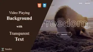 How to design a video playing background website & Transparent texts | HTML, CSS