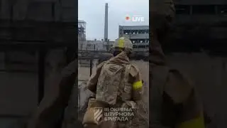 Сірість фронту