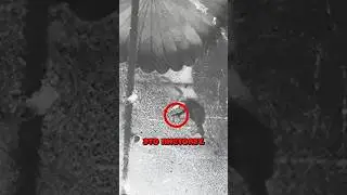 ВЕРОЯТНОСТЬ ЭТОГО 0,00001%...