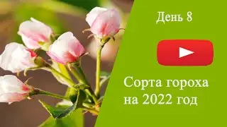 День 8.  Сорта гороха на 2022год.