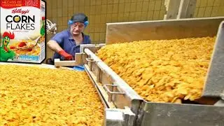 COMO se HACEN los CEREALES de MAÍZ CORN FLAKES🥣| Como se FABRICAN los CEREALES para el DESAYUNO