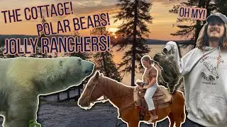 East to West Wild Adventures of Canada| SOFREE in the Dodge Caravan| Cottage, Polar bears, Ranch