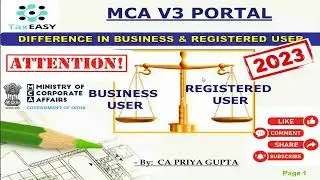 MCA V3 Portal Difference between business user and registered user?