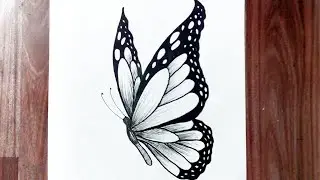 How to draw a butterfly easy step by step