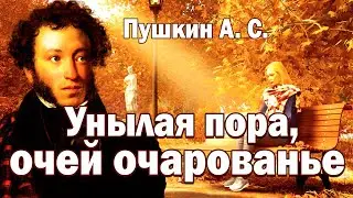 Стихотворение «Унылая пора, очей очарованье» А. С. Пушкин. Поэтическая тетрадь