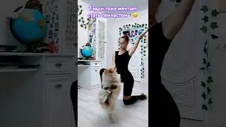 Откусил руку?!👋🐶 