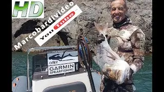 PESCA SUB CON IL NUOVO FUCILE INVICTUS: CATTURE E CONSIGLI