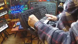 MS 20 MINI NOODLING