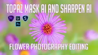 TOPAZ MASK AI and SHARPEN AI: Flower Photography Editing