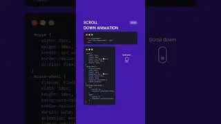 Scroll Down Animation With HTML and CSS  