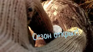 Неплохо открыли сезон 2020.