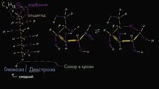 Молекулярная структура глюкозы (видео 1) | Макромолекулы | Биология