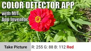 Make a Color Detector App with MIT App Inventor | Science Project