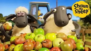 Shaun the Sheep 🐑 Apple Pie? - Cartoons for Kids 🐑 Full Episodes Compilation [1 hour]