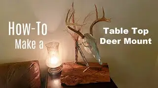 How To Make a Table Top Deer Mount